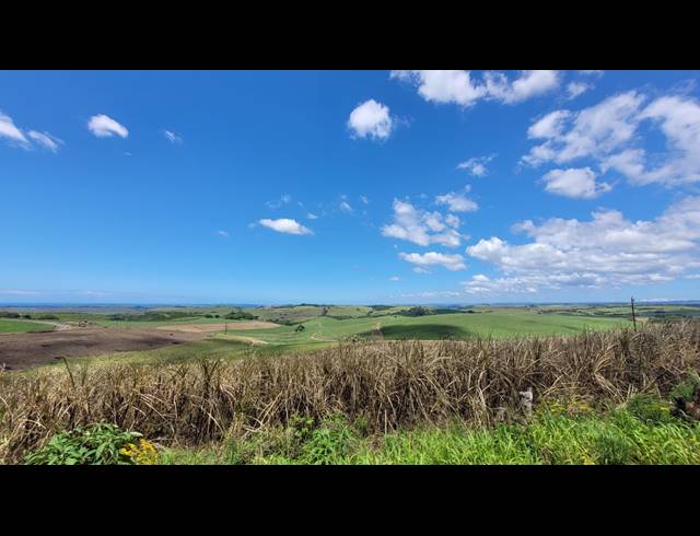 134HA FARM FOR SALE IN BALLITO RURAL